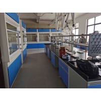 南丹实验室操作台,化验室工作台,通风柜,试剂柜_图片