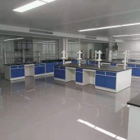 金秀县实验室操作台,化验室工作台,通风柜,试剂柜_图片