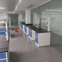 金秀县实验室操作台,化验室工作台,通风柜,试剂柜_图片