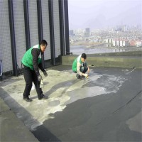 南宁市屋顶防水补漏公司_图片