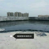 南宁市专业屋顶堵漏公司_图片